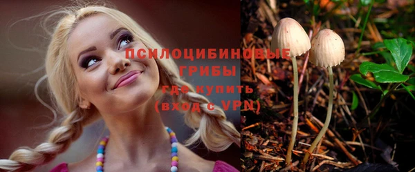 эйфоретик Баксан