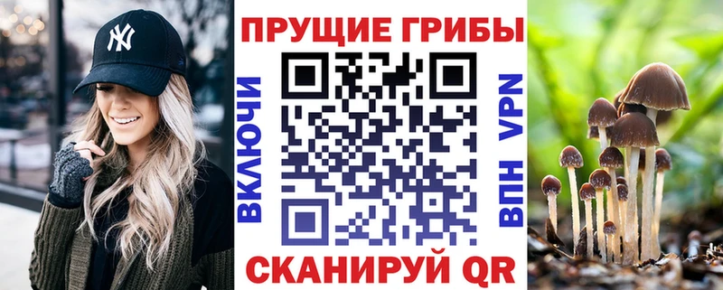 даркнет официальный сайт  Бугульма  Галлюциногенные грибы Psilocybine cubensis  ссылка на мегу tor 